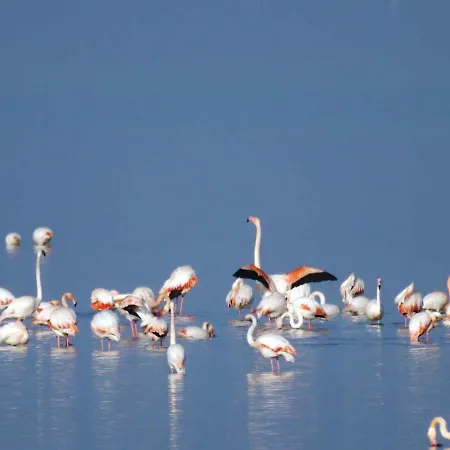 Apartments In Lido Degli Estensi 21209 Διαμέρισμα *